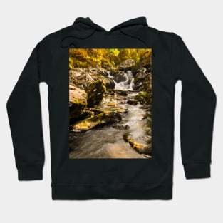 Autumn in a Lake District beck Hoodie